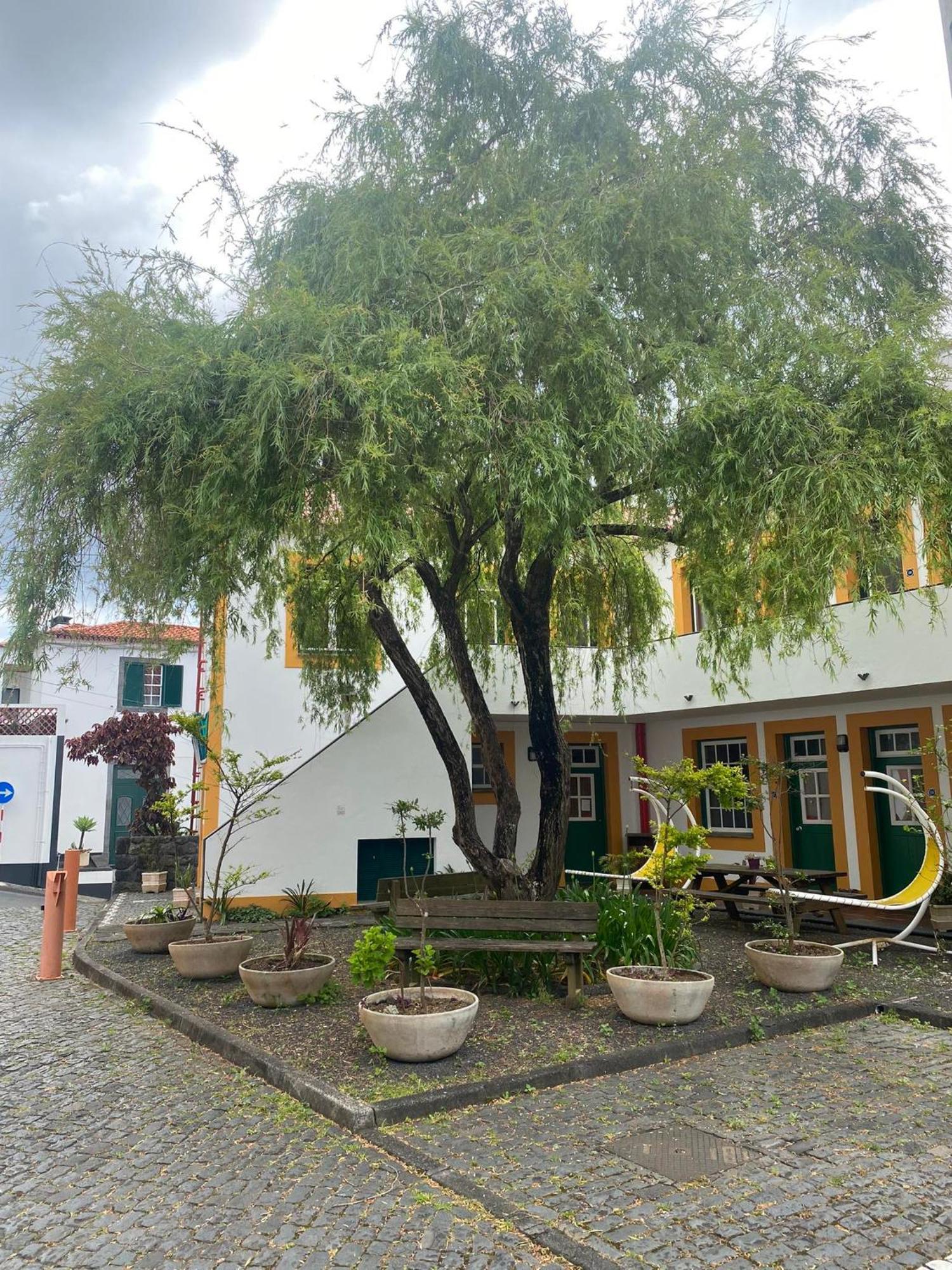 הורטה Hospedaria Verdemar מראה חיצוני תמונה